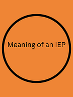 Meaning of IEP