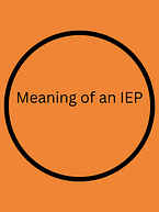 Meaning of IEP Meaning of IEP