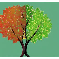 special education services special education services